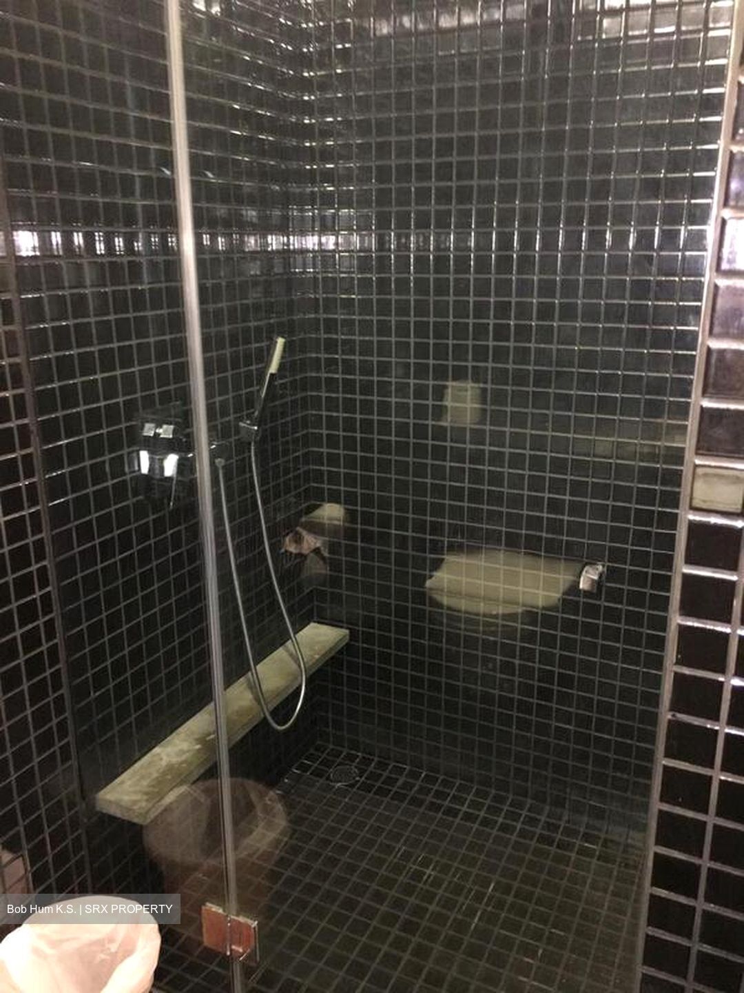 Skysuites@Anson (D2), Apartment #524927381